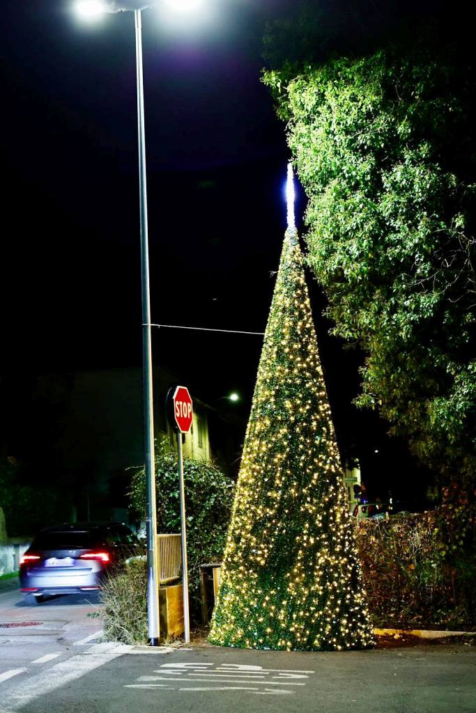 albero natale villanuova