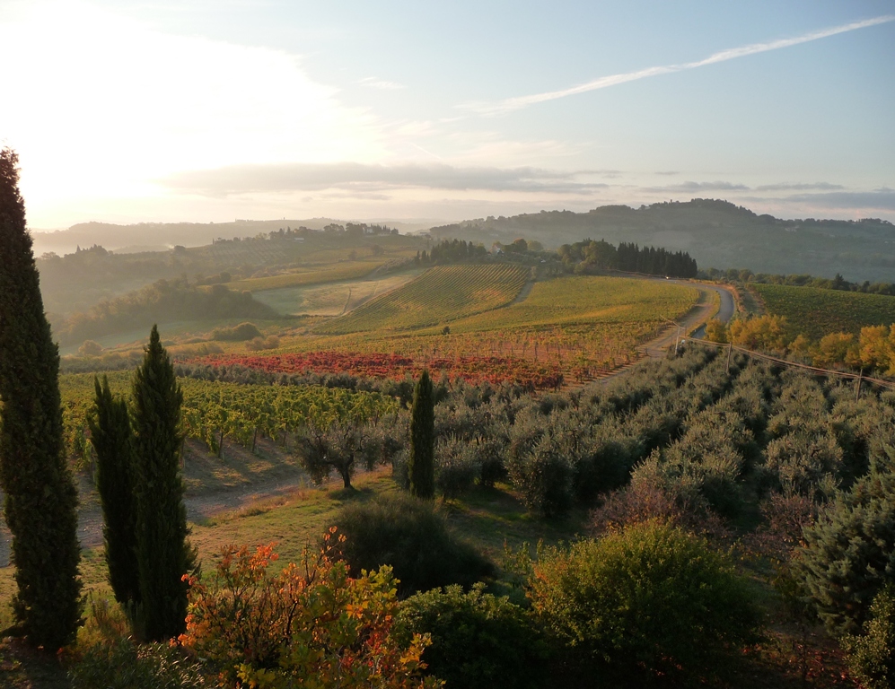 associazione_viticoltori_montespertoli_presentata_mappa_vigneti_enogea (4)