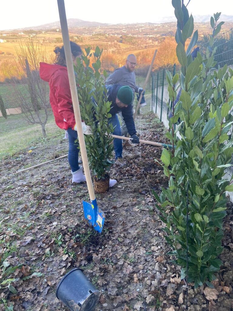 lavori-montagnana-consiglio