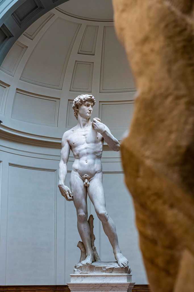 michelangelo_550_esimo_anniversario (2)