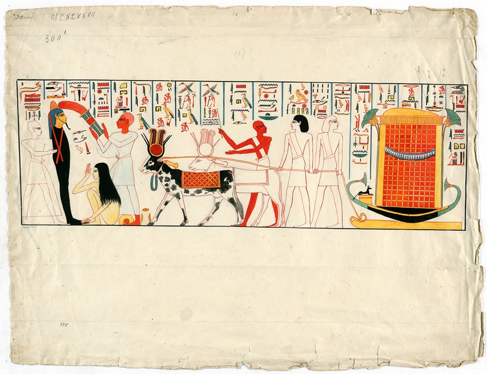 pisa_mostra egittologia università (12)