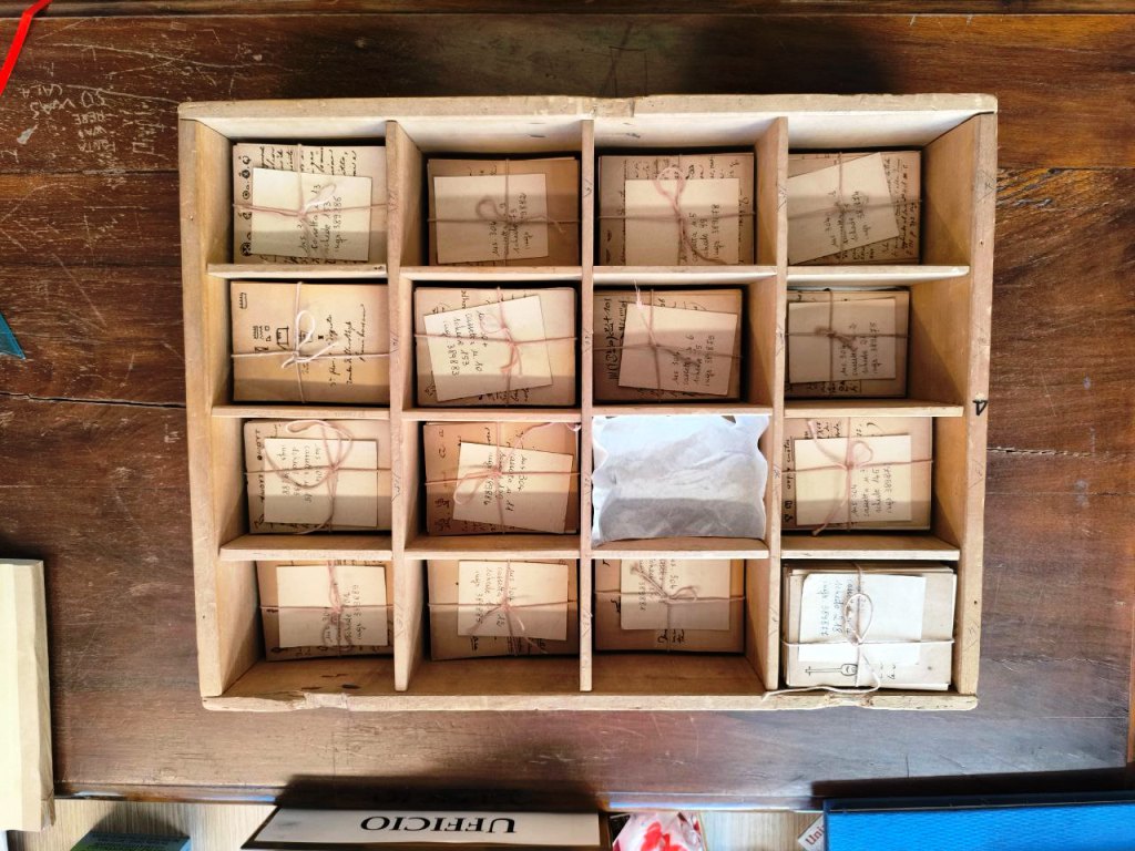 pisa_mostra egittologia università (2)