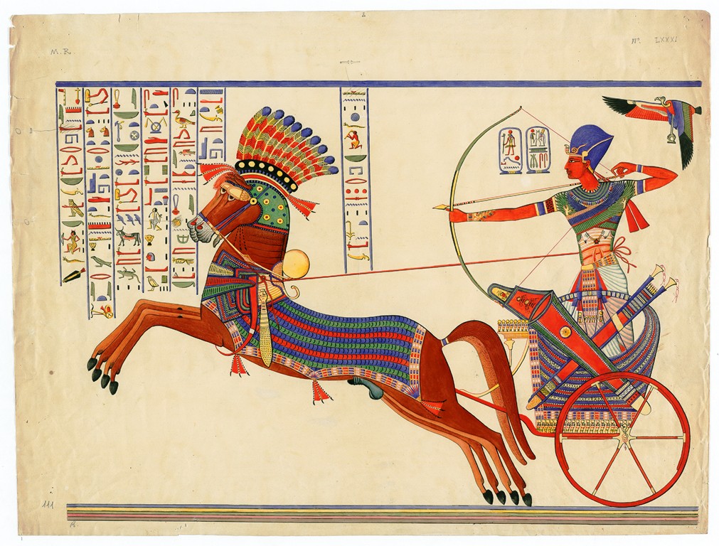 pisa_mostra egittologia università (6)