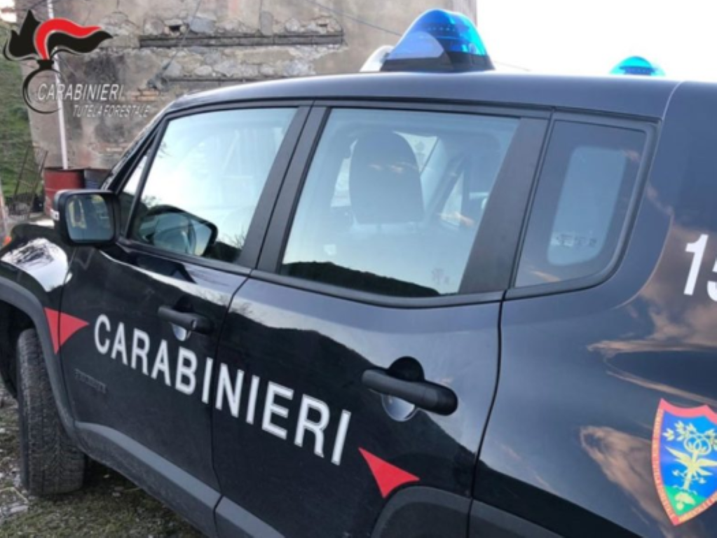 Carabinieri Forestali