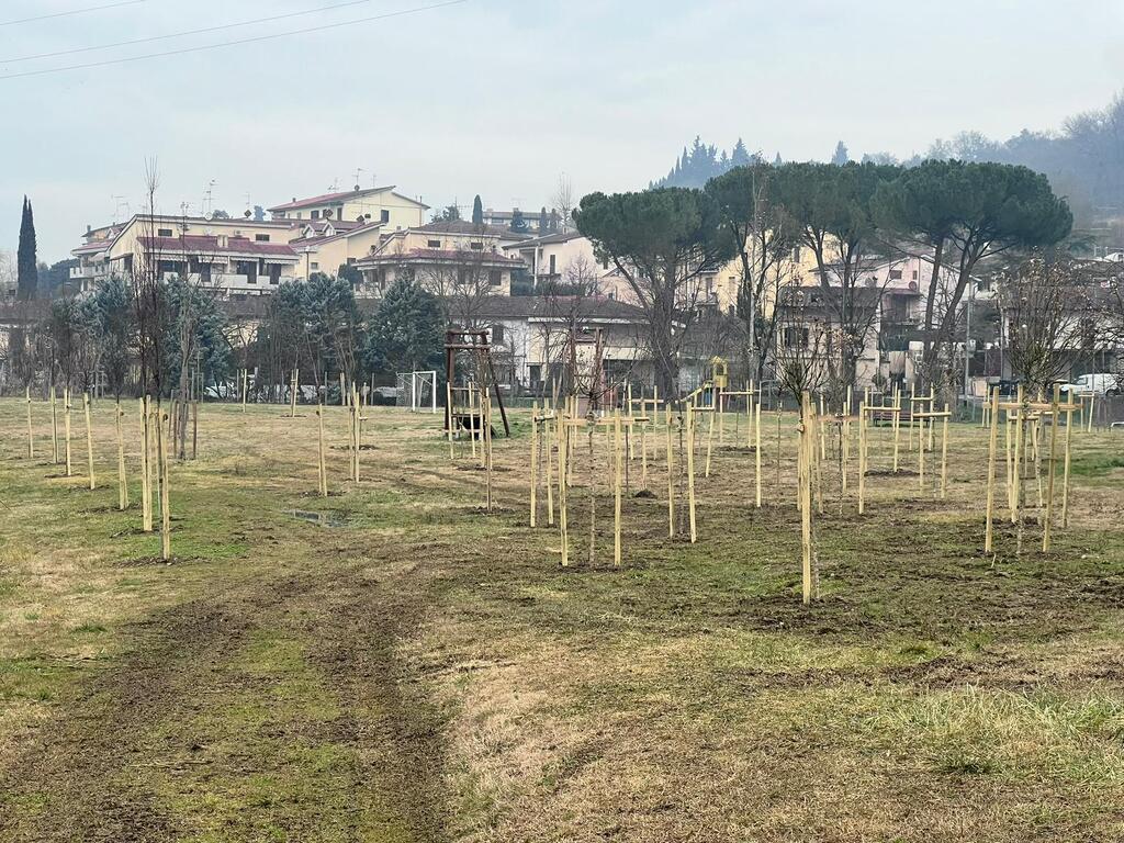 parco montessori montespertoli