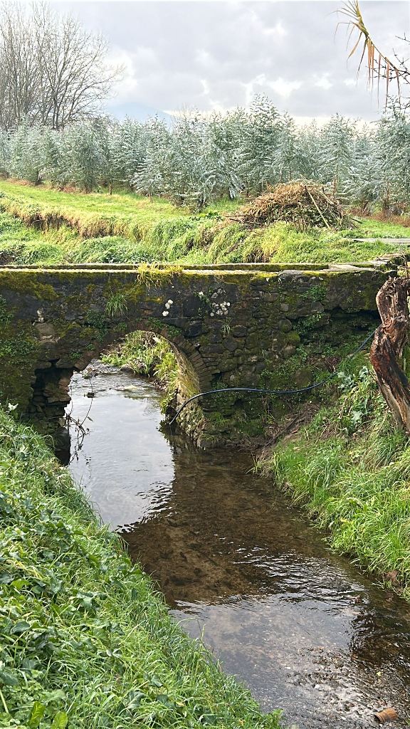 Ponte Rio Nocella (2)