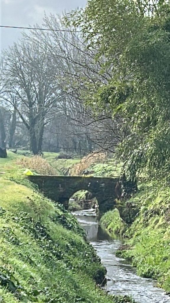 Ponte Rio Nocella (6)