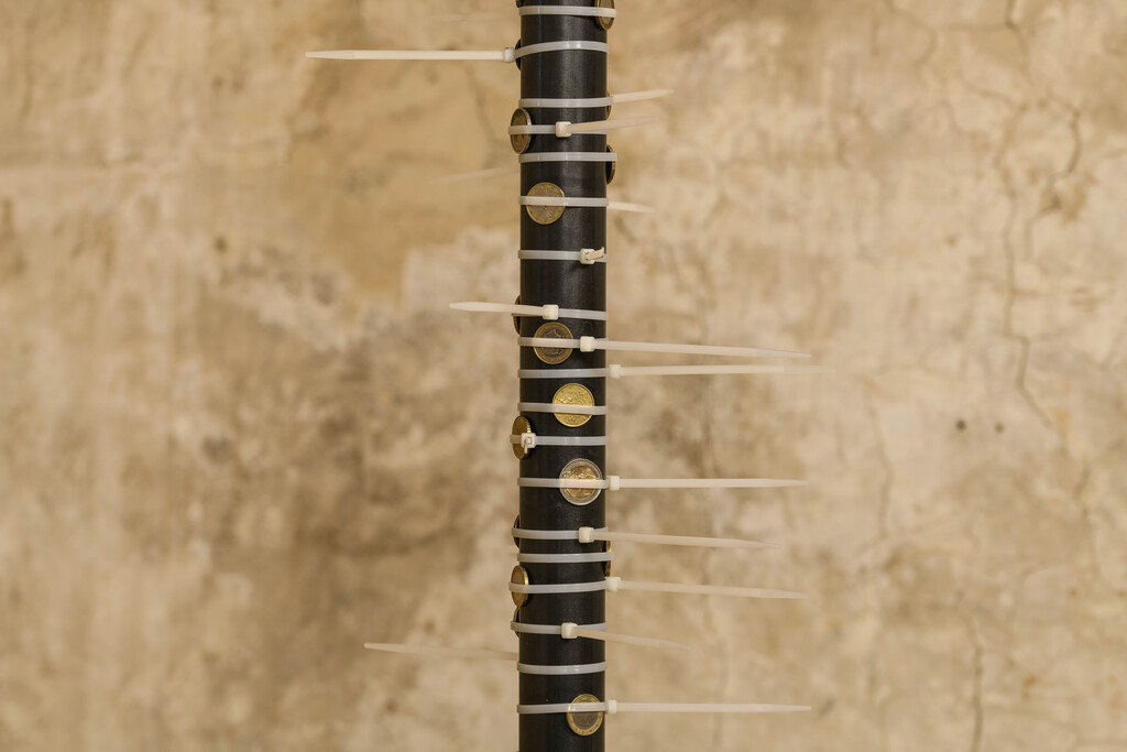 Valentina Palazzari, Fiammetta 2025, exhibition view, Palazzo Pretorio, Certaldo. Courtesy of the artist. Ph Giorgio Benni 22