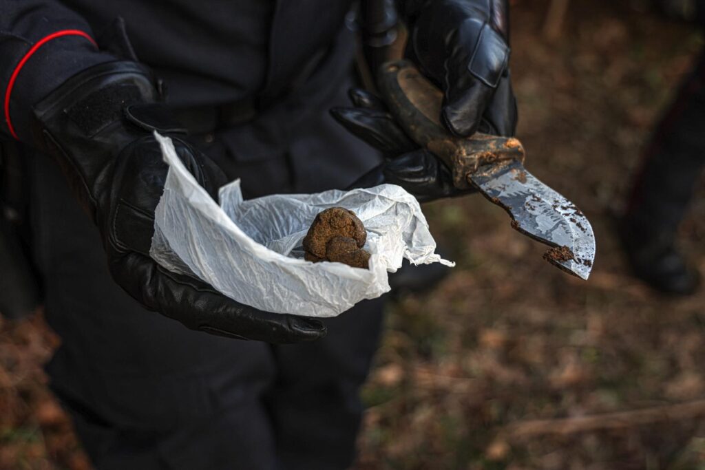 carabinieri fucecchio cerbaie 2026 (3)