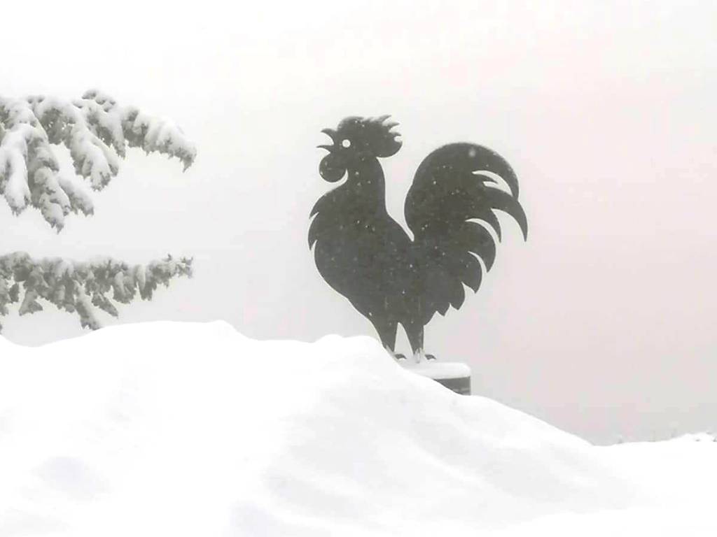 Neve record nel Chianti: fino a 25 cm, strade bloccate e trattori in azione