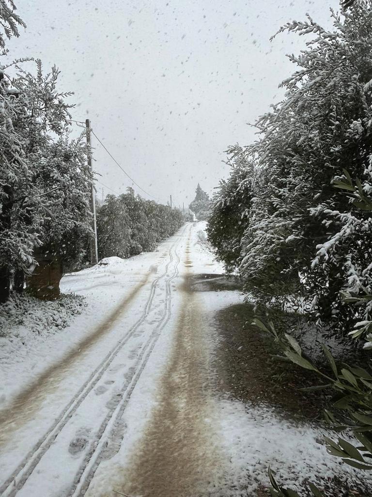 neve montespertoli (1)