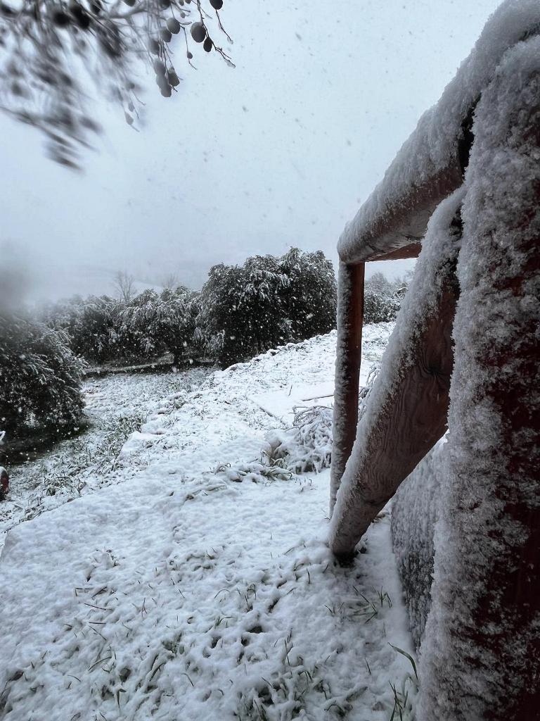 neve montespertoli (2)