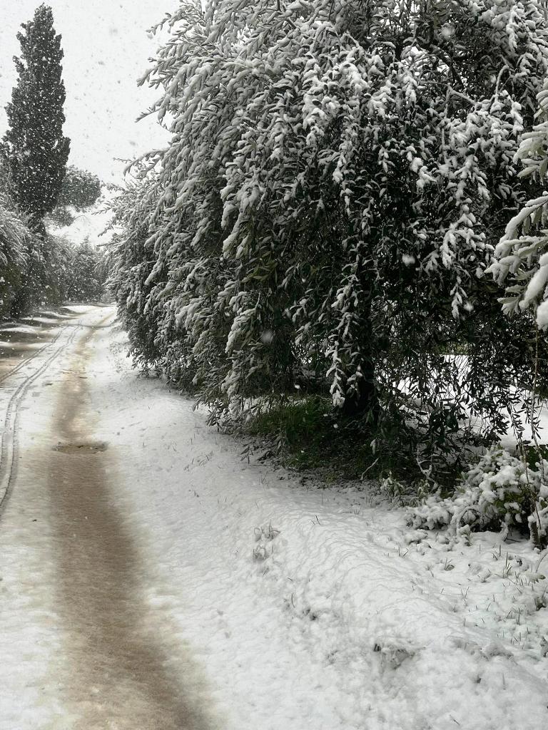 neve montespertoli (5)