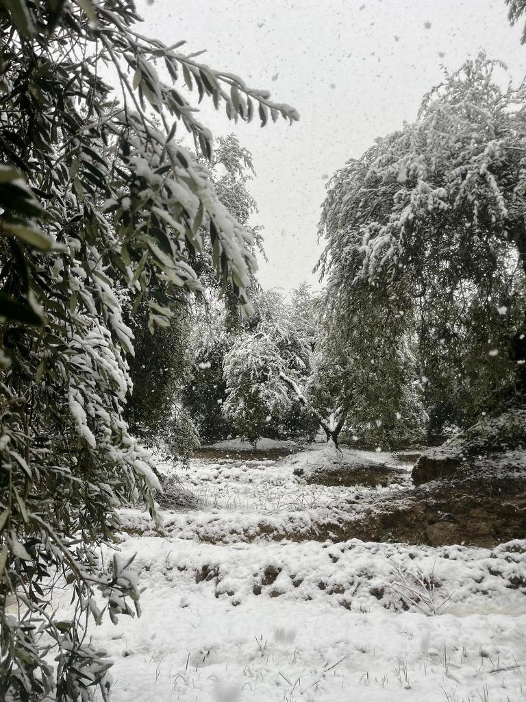 neve montespertoli (6)