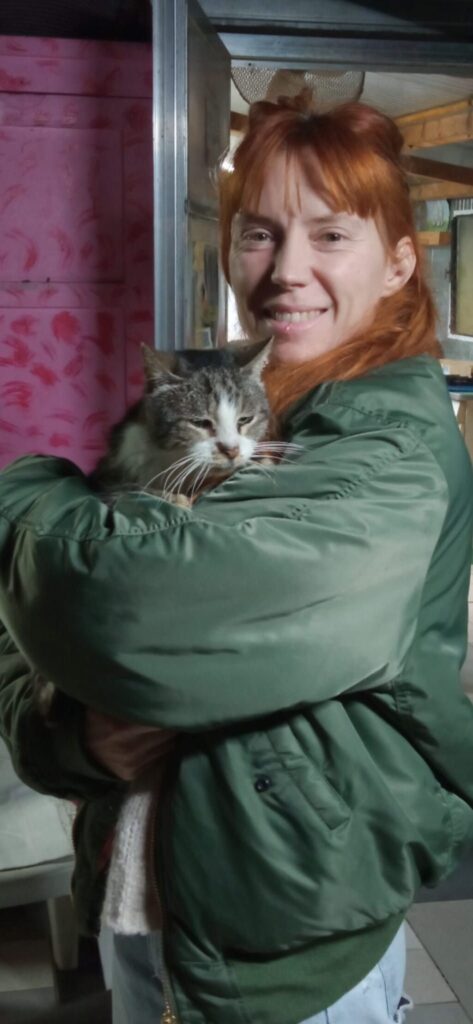 gatto gattile empoli