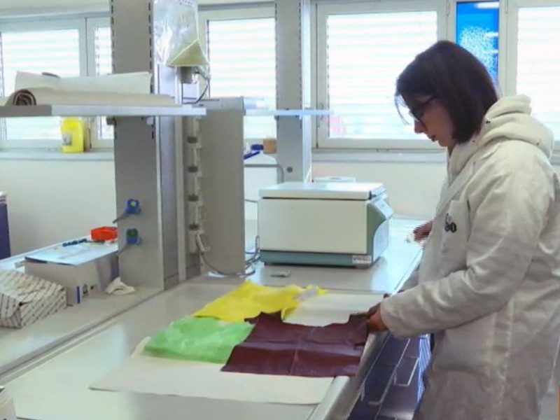 Università Pisa studio individuare plastiche non biodegradabili