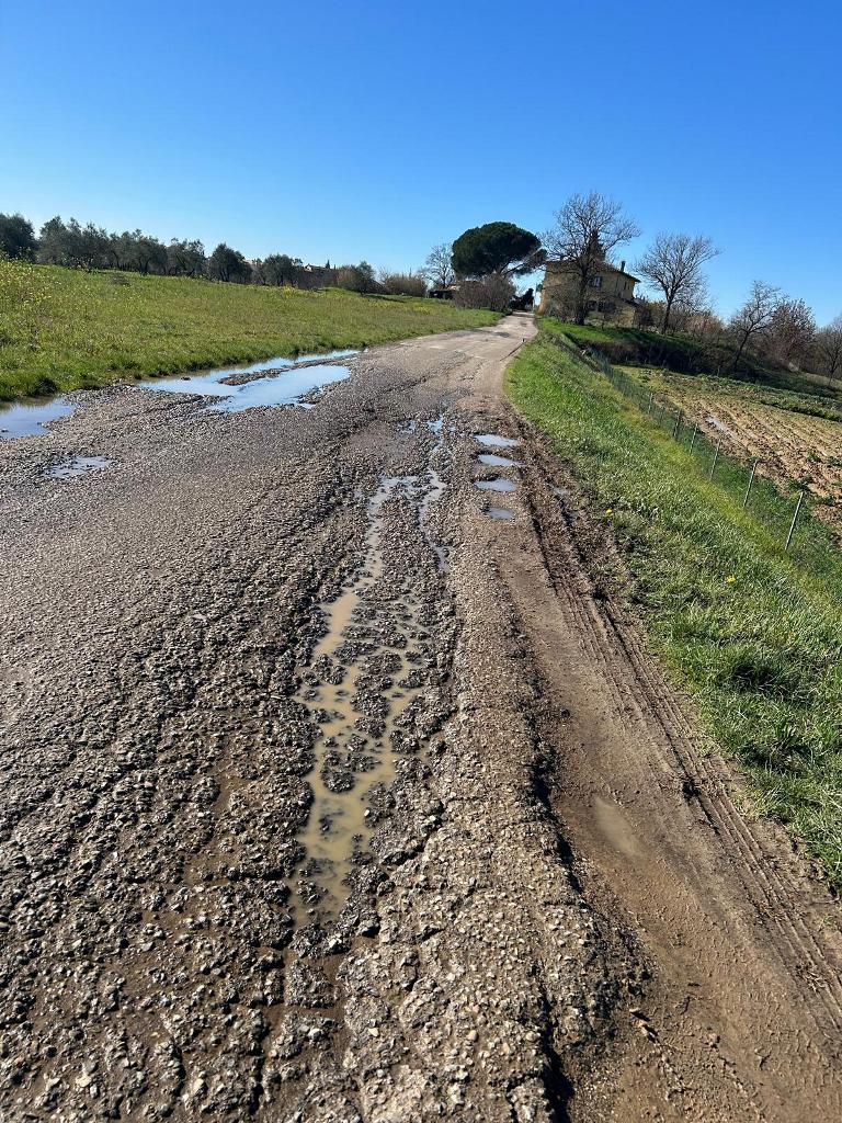 VIA_DEL_POGGIONE_CAPRAIA_SEGNALAZIONE (3)