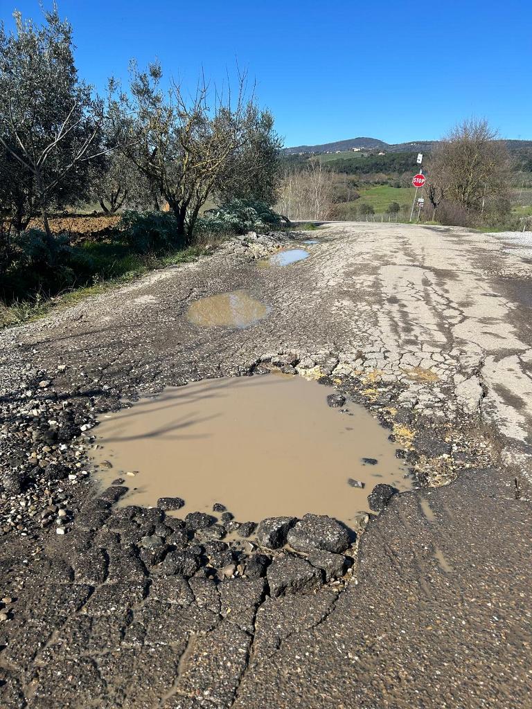 VIA_DEL_POGGIONE_CAPRAIA_SEGNALAZIONE (7)