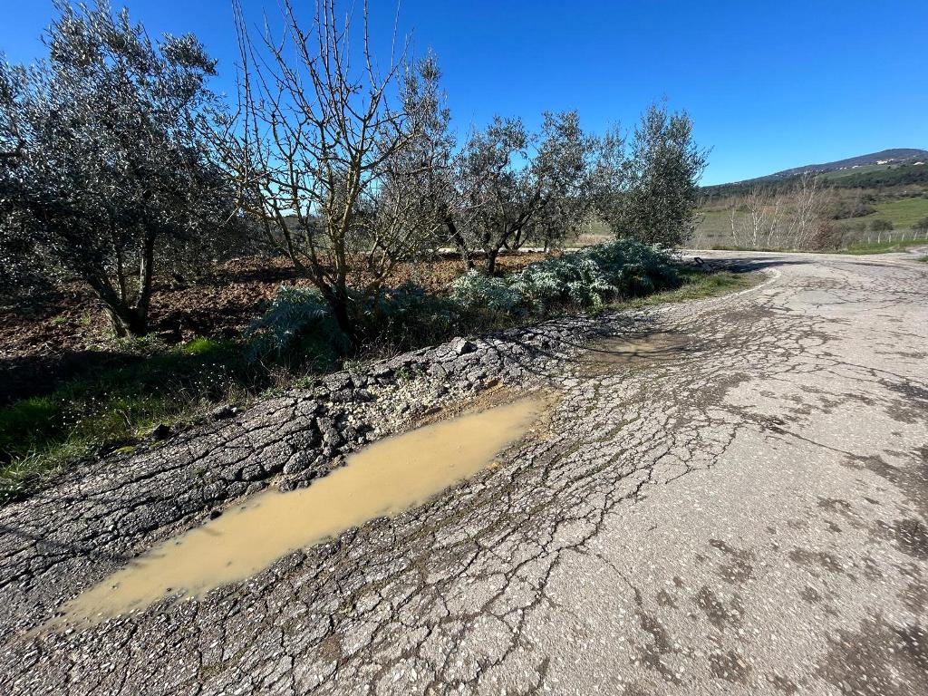 VIA_DEL_POGGIONE_CAPRAIA_SEGNALAZIONE (9)