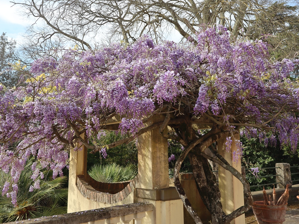 Castello_di_Coiano_Castelfiorentino (21)