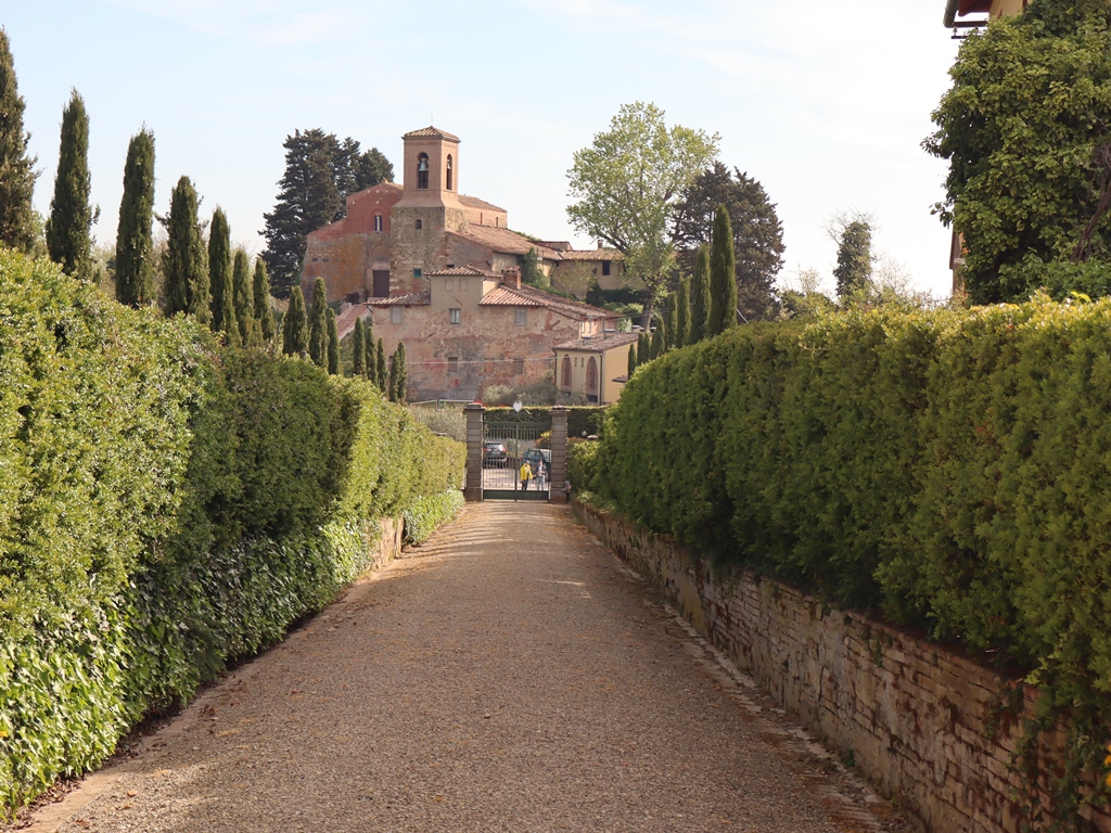 Pieve_di_Coiano_Castelfiorentino (27)