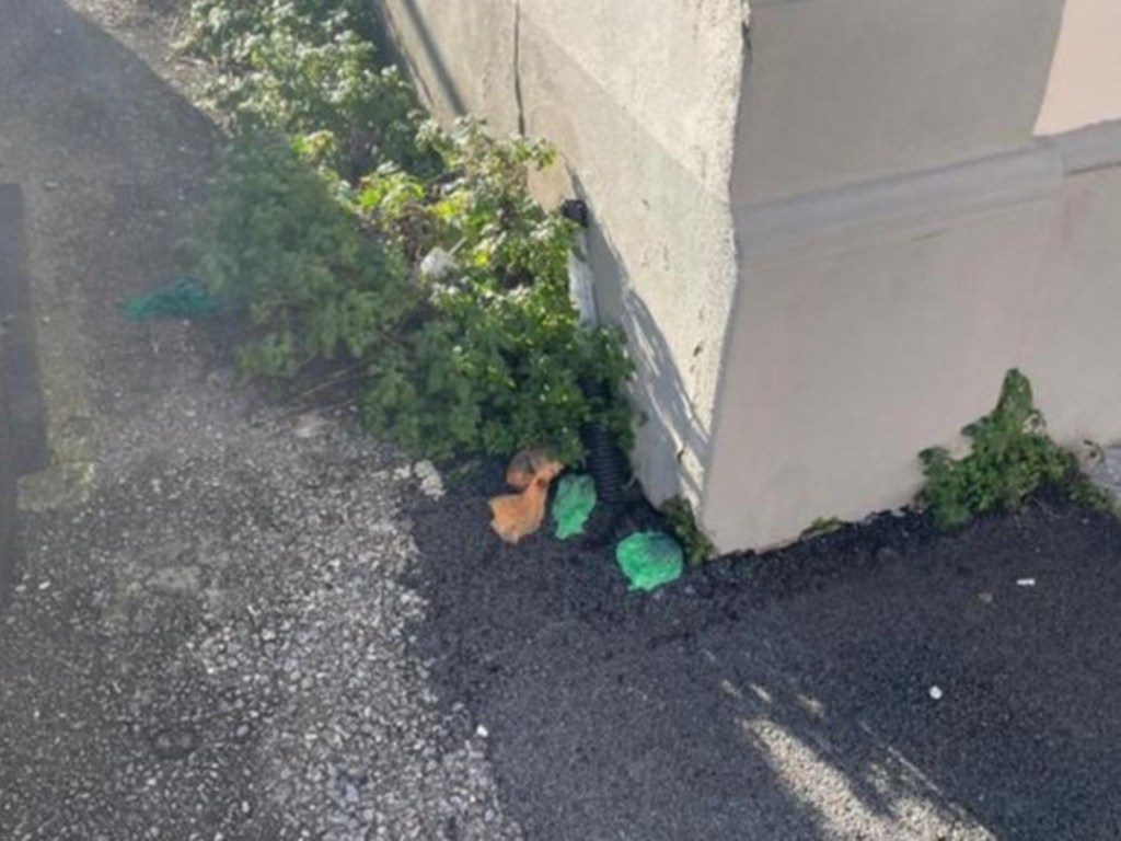 "Degrado e sporcizia" in via Jacopo Carrucci: la segnalazione di un commerciante