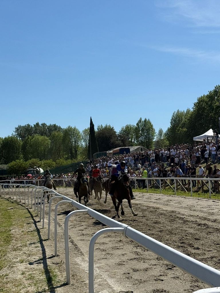 seconda giornata corse primavera Fucecchio (2)