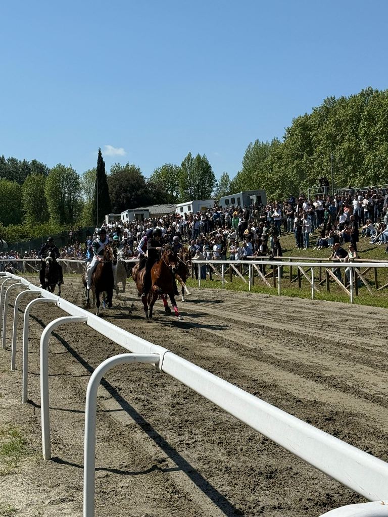 seconda giornata corse primavera Fucecchio (3)