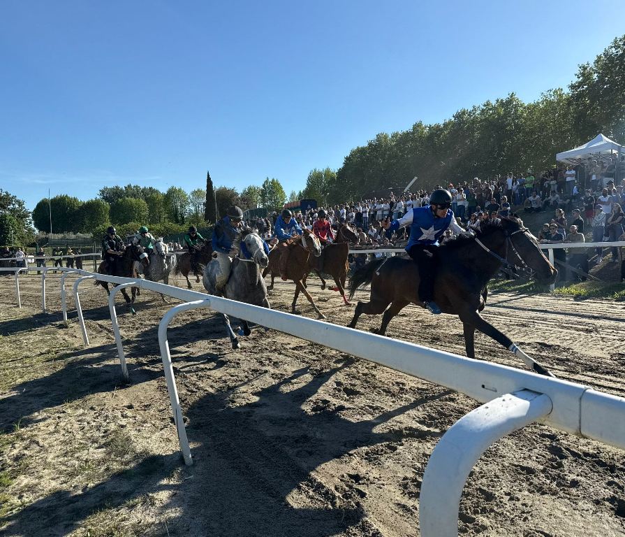 seconda giornata corse primavera Fucecchio (5)