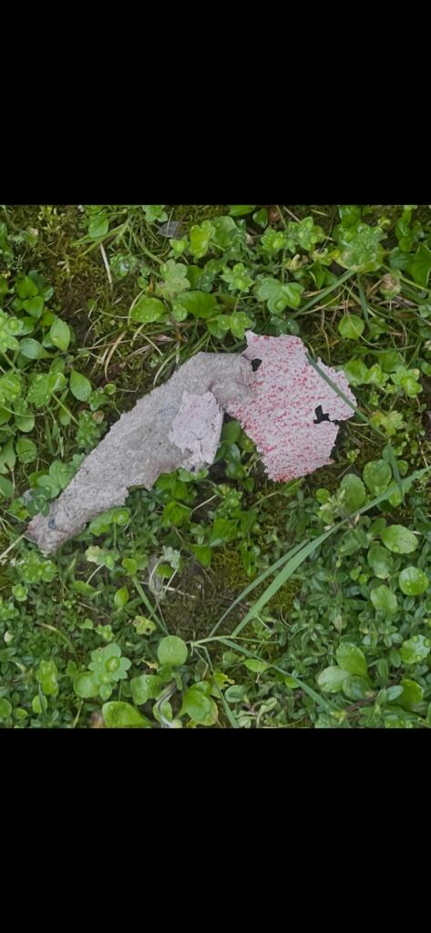 via Verdi e via Galilei (2)