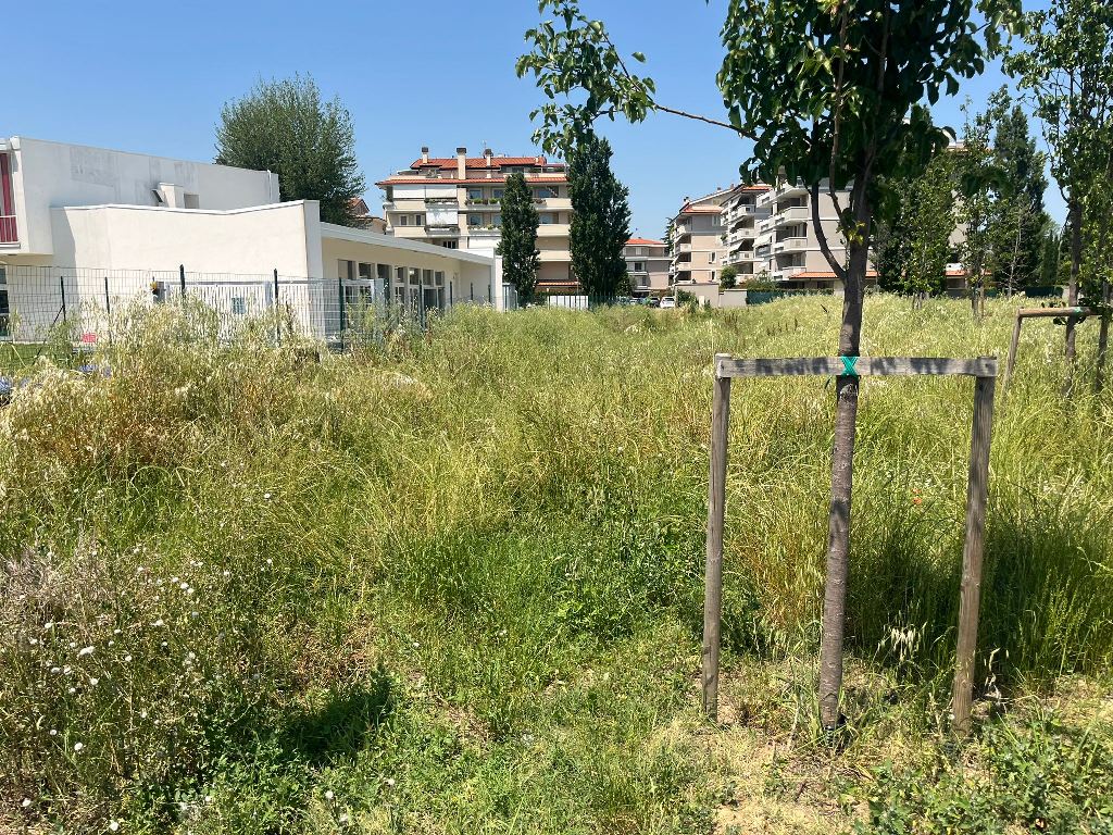 Degrado e incuria nell’area vicina alla scuola Jacopo Carrucci FdI (1)