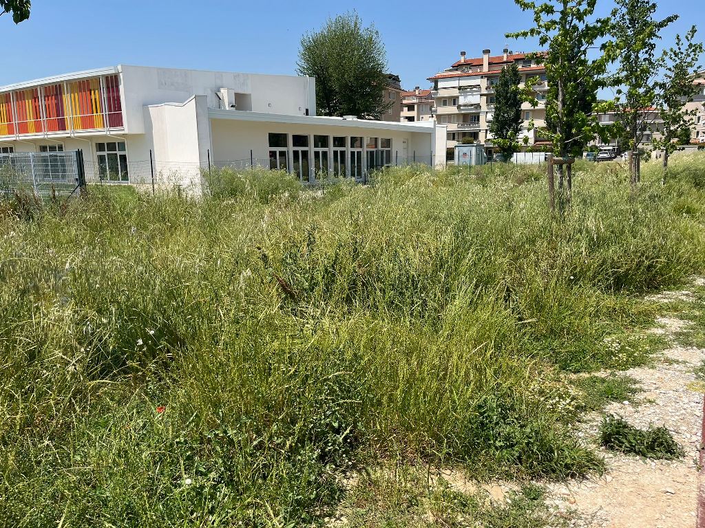 Degrado e incuria nell’area vicina alla scuola Jacopo Carrucci FdI (4)