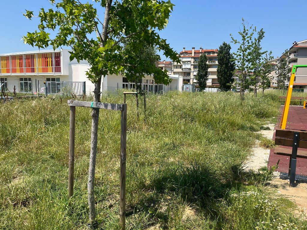 Degrado e incuria nell’area vicina alla scuola Jacopo Carrucci FdI (5)