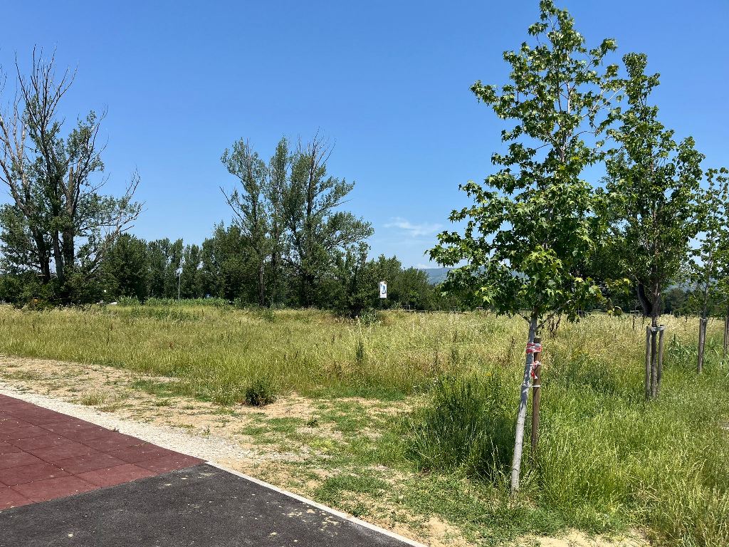 Degrado e incuria nell’area vicina alla scuola Jacopo Carrucci FdI (7)
