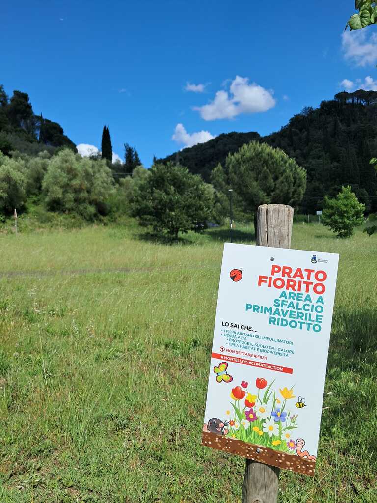 Montelupo_Fiorentno_sfalcio_ridotto 3