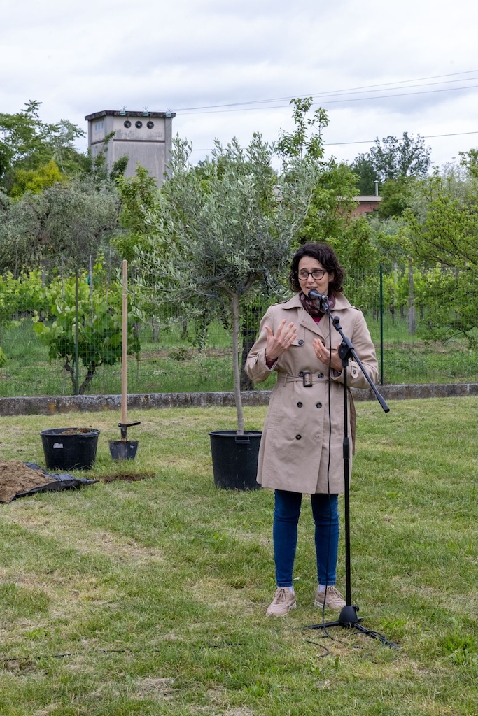 assessora laura mannucci