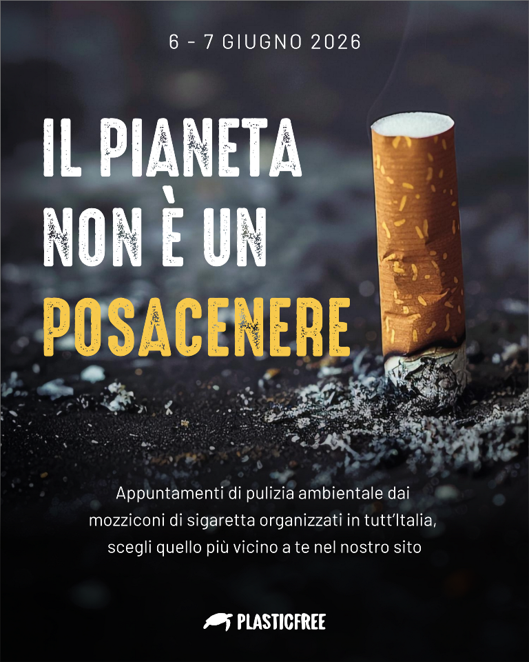 Plastic Free sigarette (1)