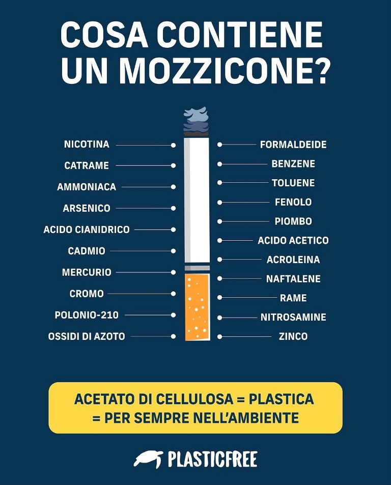 Plastic Free sigarette (3)