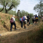https://www.gonews.it/wp-content/uploads/2026/07/Camminando-il-Montalbano-150x150.jpg