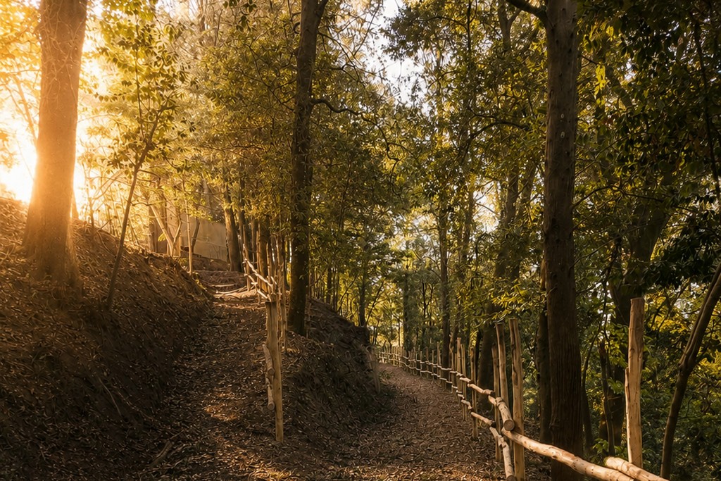 Peccioli restituisce ai cittadini il Bosco dei Frati