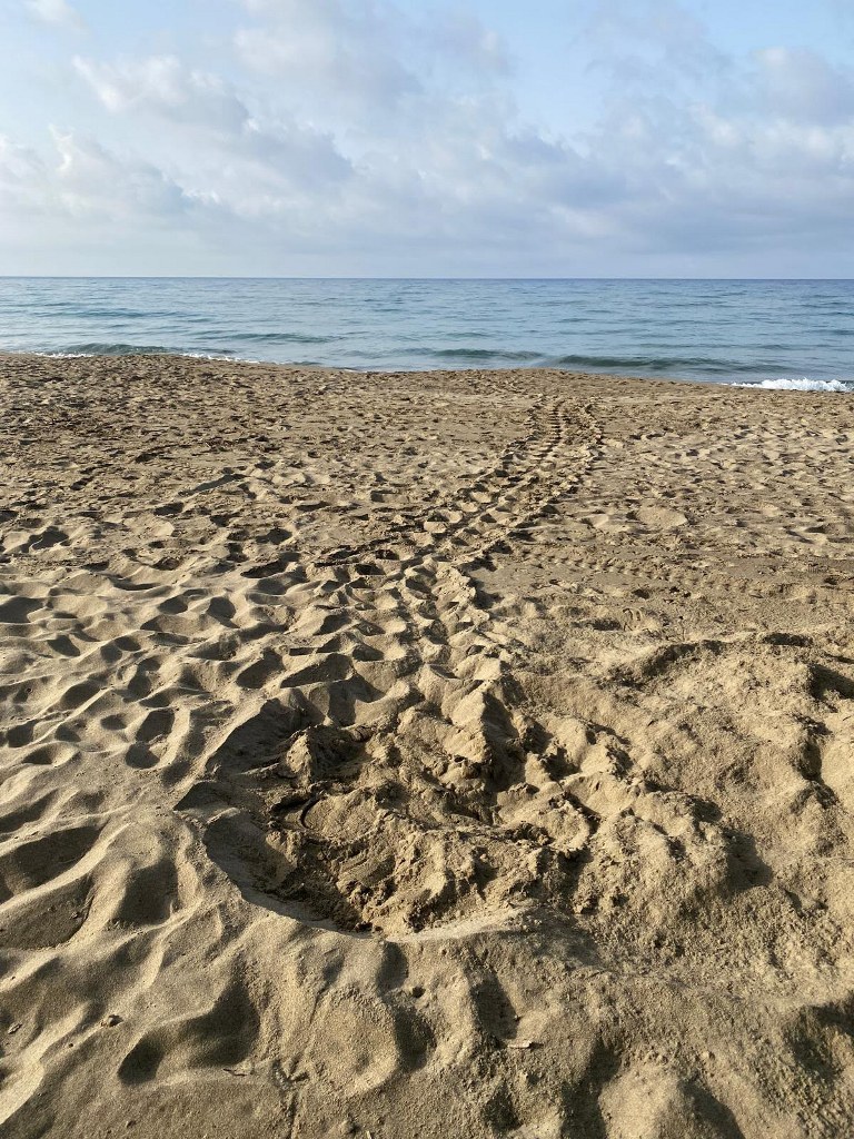traccia roccamare2