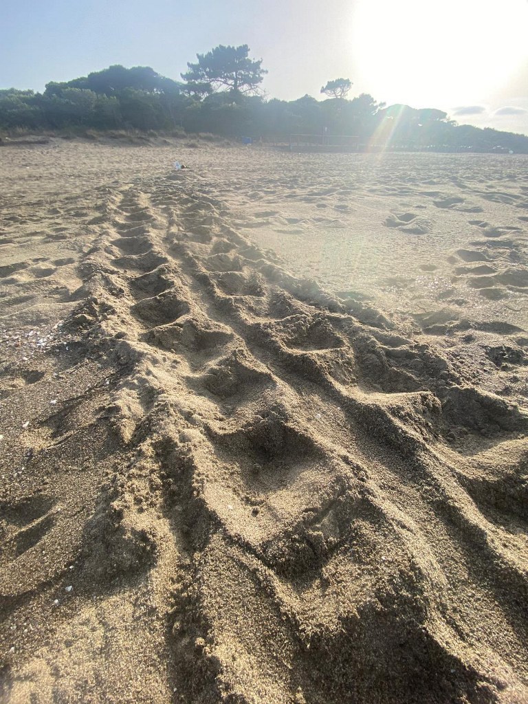 traccia roccamare3