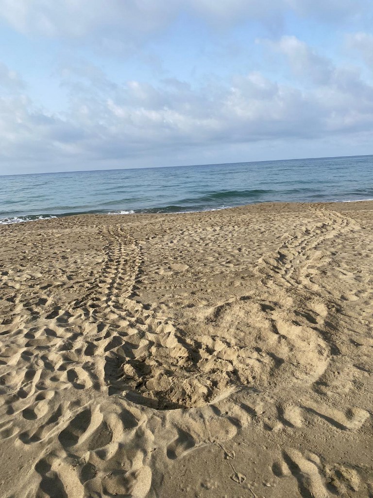traccia roccamare4