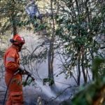 https://www.gonews.it/wp-content/uploads/2026/08/Antincendio_boschivo_regionale__-150x150.png