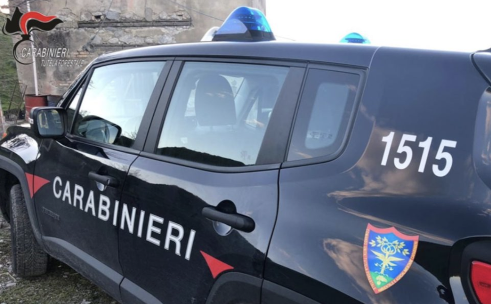 Uccide una biscia, la foto finisce sui social: denunciato nel Livornese