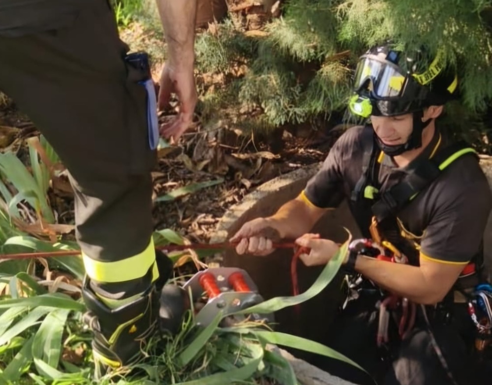 Montemurlo, cagnolina cade in un pozzo: il salvataggio dei vigili del fuoco