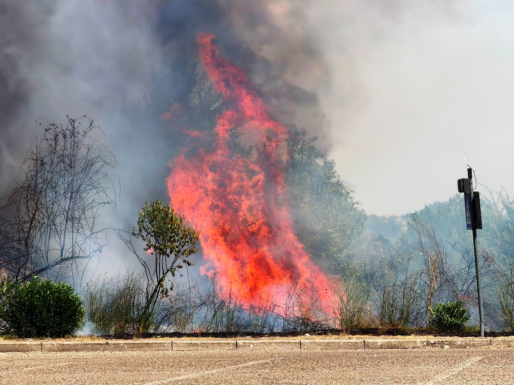 Incendio vegetazione in via Valdorme Nuova a Empoli. Fiamme vicino Fi-Pi-Li, chiuso tratto