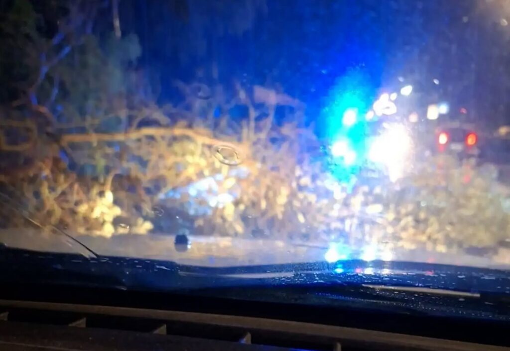 Maltempo, nell'Empolese Valdelsa e nel Cuoio alberi caduti e disagi su strade