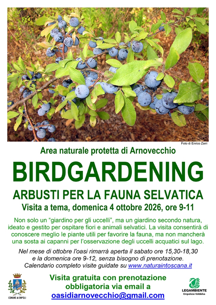 Birdgardening locandina web