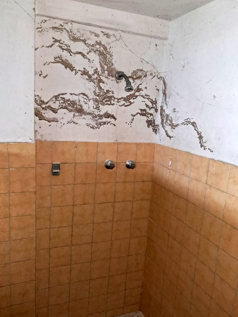 istituto_copernico_criticità_oliveri_asma (7)